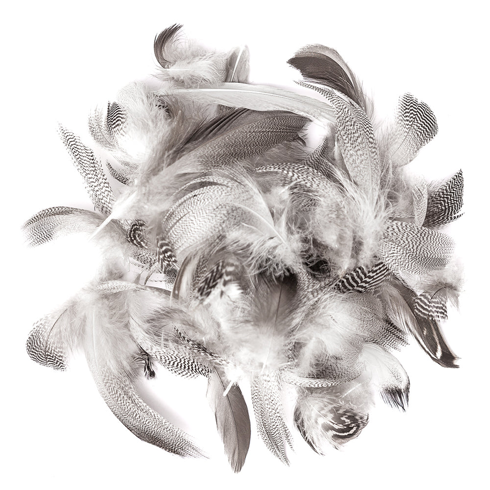 DpCraft duck feathers - 5-12 cm, 5 g