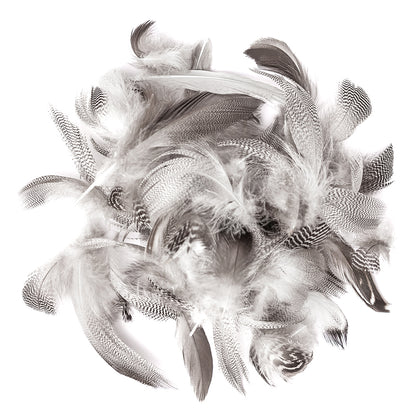 DpCraft duck feathers - 5-12 cm, 5 g